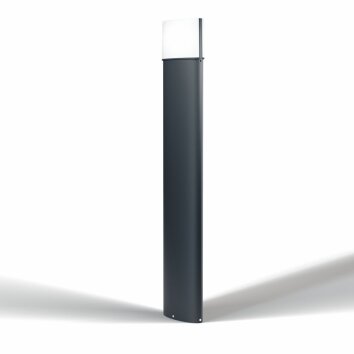 Borne lumineuse LEDVANCE ENDURA Noir, 1 lumière