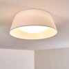 Plafonnier Negio LED Blanc, 1 lumière