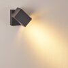 Applique murale d'extérieur Bregenz LED Anthracite, 1 lumière