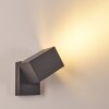 Applique murale d'extérieur Bregenz LED Anthracite, 1 lumière