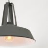 Suspension Steinhauer Mexlite Gris, 1 lumière