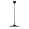 Lampe suspendue Eglo BRIDPORT Cuivre, Noir, 1 lumière