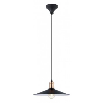 Lampe suspendue Eglo BRIDPORT Cuivre, Noir, 1 lumière