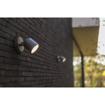 Applique murale d'extérieur Lutec Explorer LED Anthracite, 1 lumière