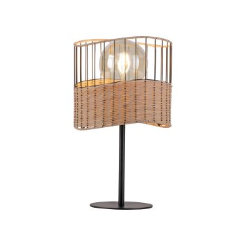 Lampe de table Leuchten-Direkt REED Noir, 1 lumière