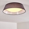 Plafonnier Negio LED Gris, Blanc, 1 lumière