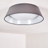 Plafonnier Negio LED Gris, Blanc, 1 lumière