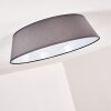 Plafonnier Negio LED Gris, Blanc, 1 lumière