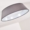 Plafonnier Negio LED Gris, Blanc, 1 lumière