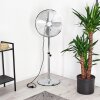 Ventilateur Mahon Chrome