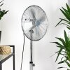 Ventilateur Mahon Chrome