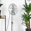 Ventilateur Mahon Chrome