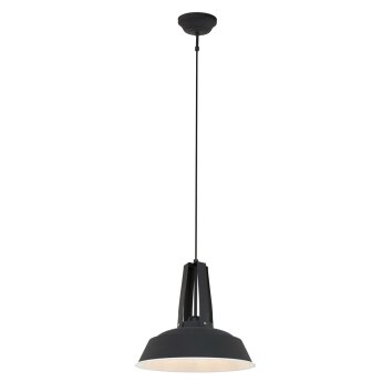 Suspension Steinhauer Mexlite Noir, 1 lumière