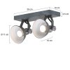 Spot Steinhauer BROOKLY LED Gris, 2 lumières