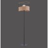 Lampadaire Leuchten-Direkt REED Noir, 1 lumière