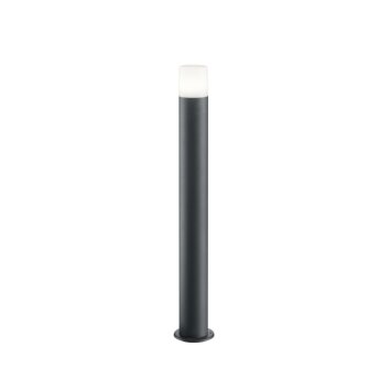 Lampadaire d'extérieur Trio Leuchten HOOSIC Anthracite, 1 lumière