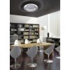 Plafonnier Paul Neuhaus NEVIS LED Argenté, 4 lumières