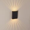 Applique murale d'extérieur Benin LED Noir, 2 lumières