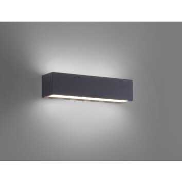 Applique murale Paul Neuhaus ROBERT LED Anthracite, 1 lumière