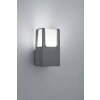 Applique murale Trio EBRO LED Anthracite, 1 lumière