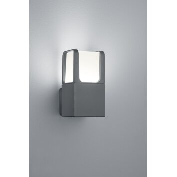 Applique murale Trio EBRO LED Anthracite, 1 lumière