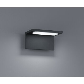 Applique murale d'extérieur Trio TRAVE LED Anthracite, 1 lumière