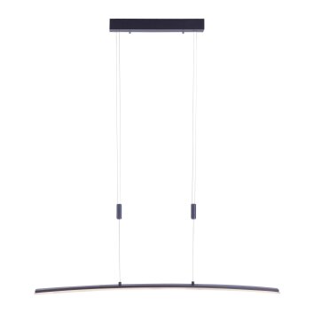 Suspension Paul Neuhaus JANINA LED Anthracite, 1 lumière