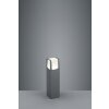 Borne lumineuse Trio EBRO LED Anthracite, 1 lumière