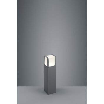 Borne lumineuse Trio EBRO LED Anthracite, 1 lumière