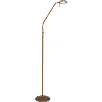 Lampadaire Steinhauer Mexlite LED Bronze, 1 lumière