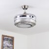 Ventilateur de plafond Bendigo LED Nickel mat, Transparent, 1 lumière