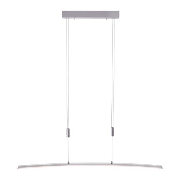 Suspension Paul Neuhaus JANINA LED Acier inoxydable, 1 lumière