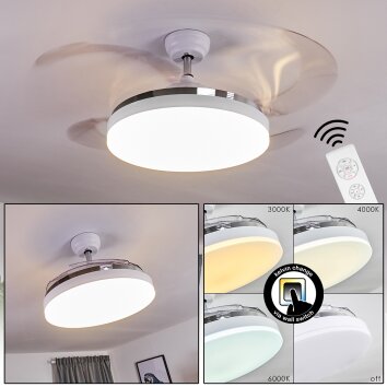 Ventilateur de plafond Bendigo LED Chrome, Transparent, Blanc, 1 lumière