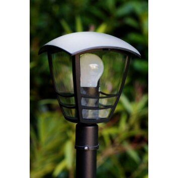 Borne d'éclairage Philips myGarden CREEK Noir, Transparent, 1 lumière