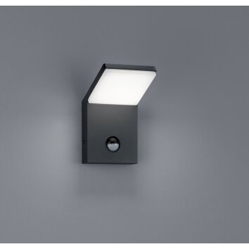 Applique murale d'extérieur Trio PEARL LED Anthracite, 1 lumière, Détecteur de mouvement