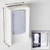 Applique murale d'extérieur Lamoliere LED Blanc, 1 lumière