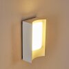 Applique murale d'extérieur Lamoliere LED Blanc, 1 lumière