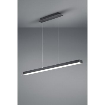 Suspension Reality AGANO LED Noir, 1 lumière