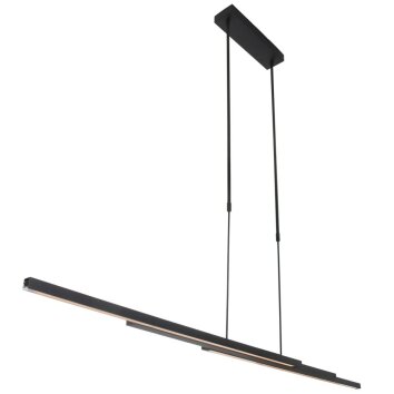 Suspension Steinhauer Zelena LED Noir, 1 lumière