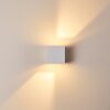 Applique murale d'extérieur Fauderup LED Blanc, 2 lumières