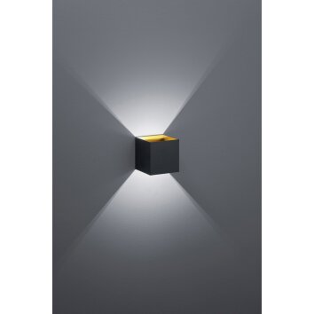 Applique murale Trio LOUIS LED Noir, 1 lumière