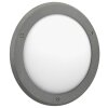 Plafonnier d'extérieur Albert 6409 LED Anthracite, 1 lumière