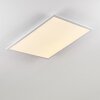 Plafonnier Salmi LED Aluminium, Blanc, 1 lumière, Télécommandes