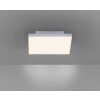 Plafonnier Paul Neuhaus FRAMELESS LED Blanc, 1 lumière, Télécommandes