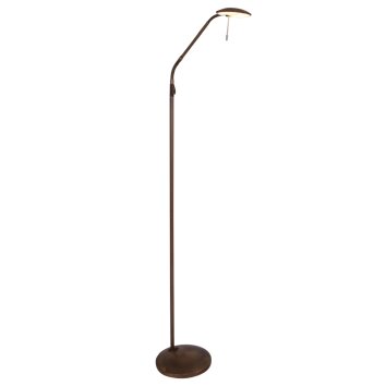 Lampadaire Steinhauer Zenith LED Bronze, 1 lumière