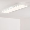 Plafonnier Antria LED Blanc, 1 lumière