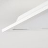 Plafonnier Antria LED Blanc, 1 lumière