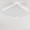 Plafonnier Antria LED Blanc, 1 lumière