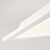 Plafonnier Antria LED Blanc, 1 lumière