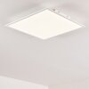 Plafonnier Antria LED Blanc, 1 lumière